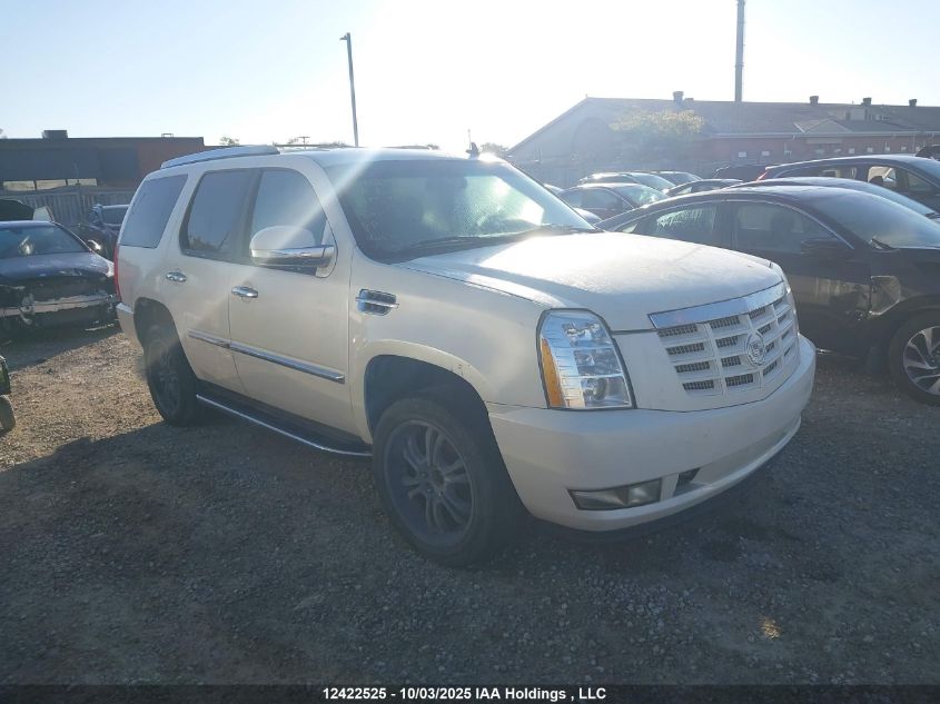 2009 Cadillac Escalade Sport VIN: 1GYFK53279R113736 Lot: 12422525