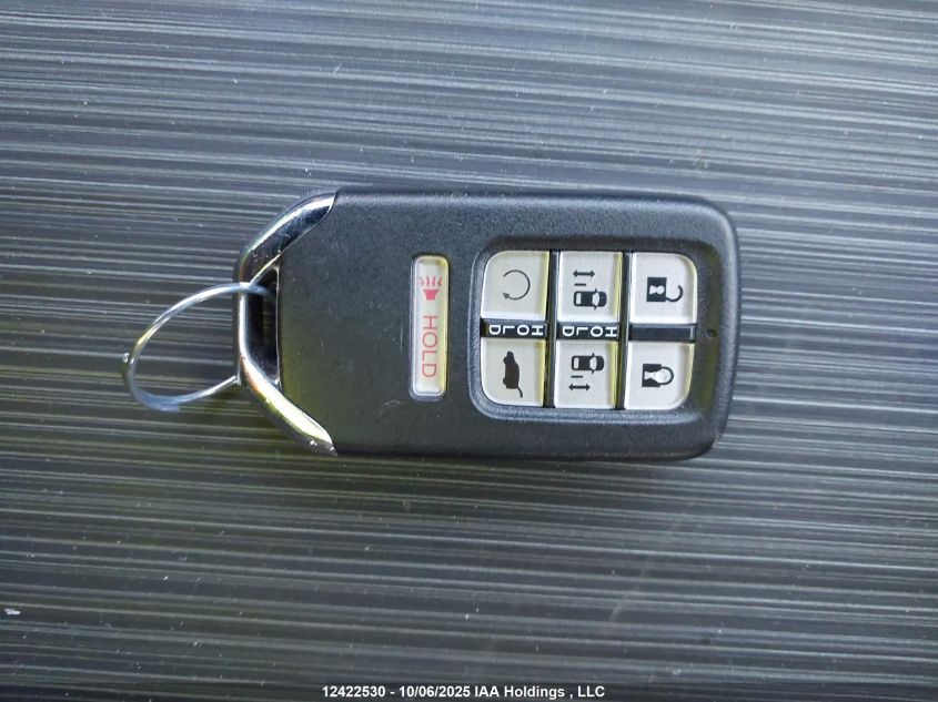 2024 Honda Odyssey VIN: 5FNRL6H88RB502426 Lot: 12422530