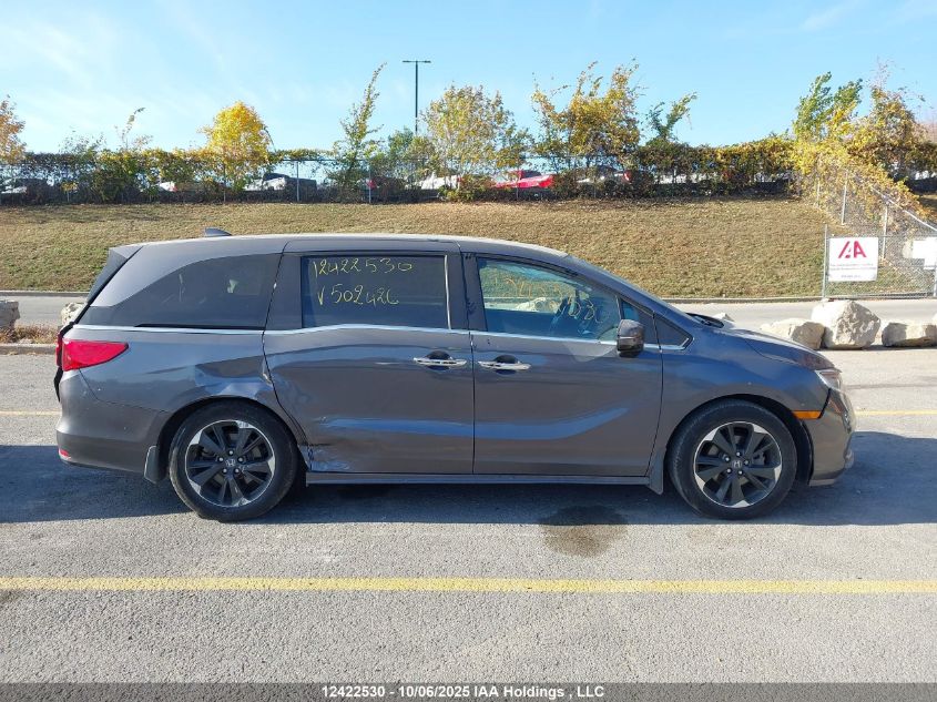 2024 Honda Odyssey VIN: 5FNRL6H88RB502426 Lot: 12422530