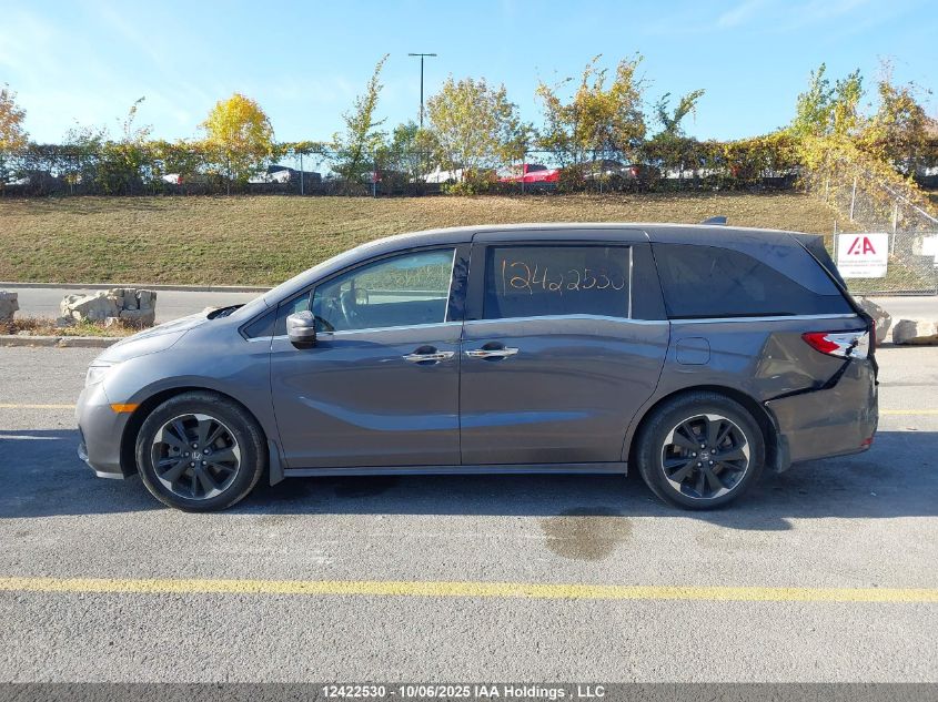 2024 Honda Odyssey VIN: 5FNRL6H88RB502426 Lot: 12422530