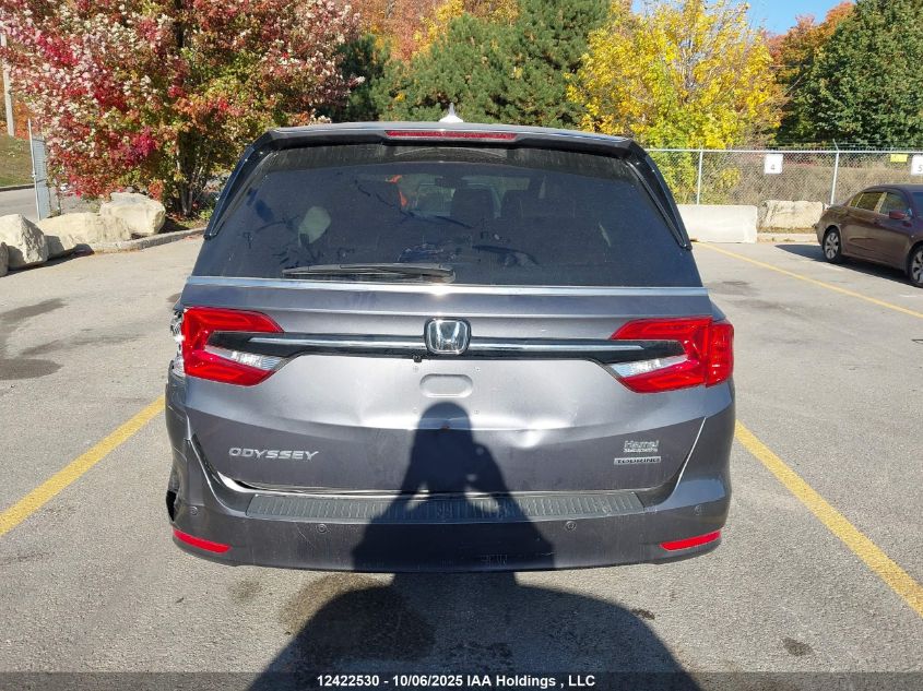 2024 Honda Odyssey VIN: 5FNRL6H88RB502426 Lot: 12422530