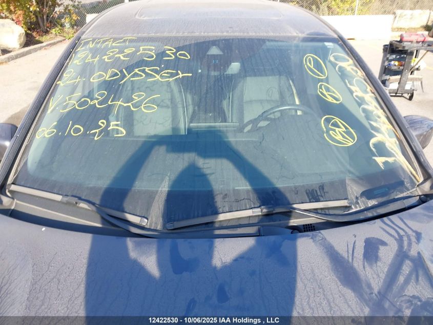 2024 Honda Odyssey VIN: 5FNRL6H88RB502426 Lot: 12422530