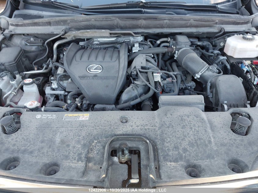 2023 Lexus Rx 500H VIN: 2T2BCMEA6PC005420 Lot: 12422906