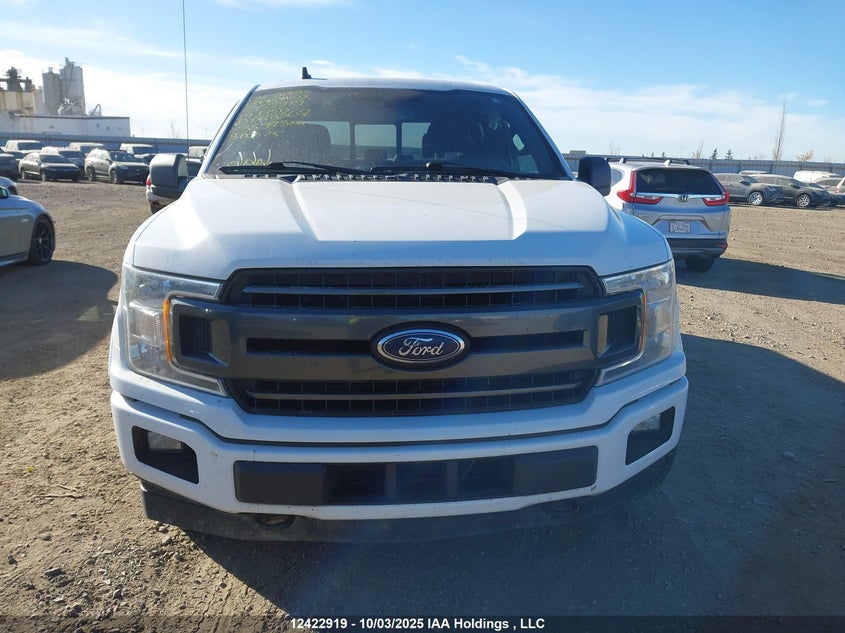1FTEW1EP7KKD78307 2019 FORD F-150 photo no. 13