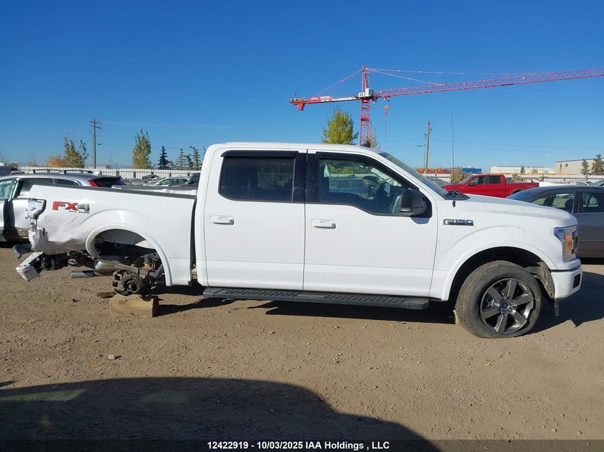 1FTEW1EP7KKD78307 2019 FORD F-150 photo no. 14