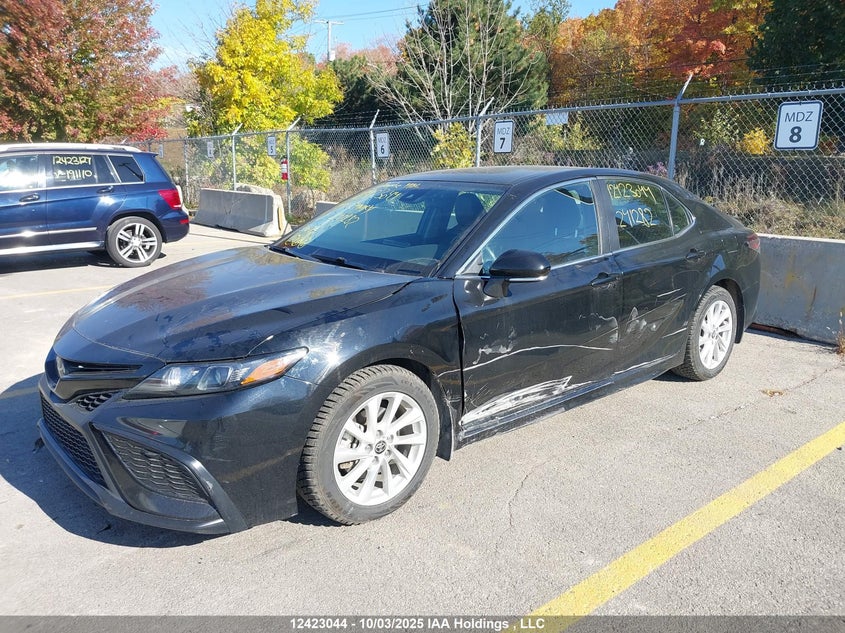 2024 Toyota Camry Se Night Shade/Se VIN: 4T1G11AK7RU241282 Lot: 12423044