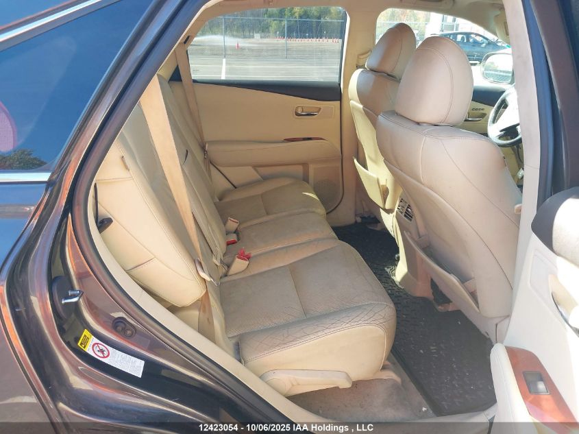 2010 Lexus Rx 350 VIN: 2T2BK1BA3AC015013 Lot: 12423054