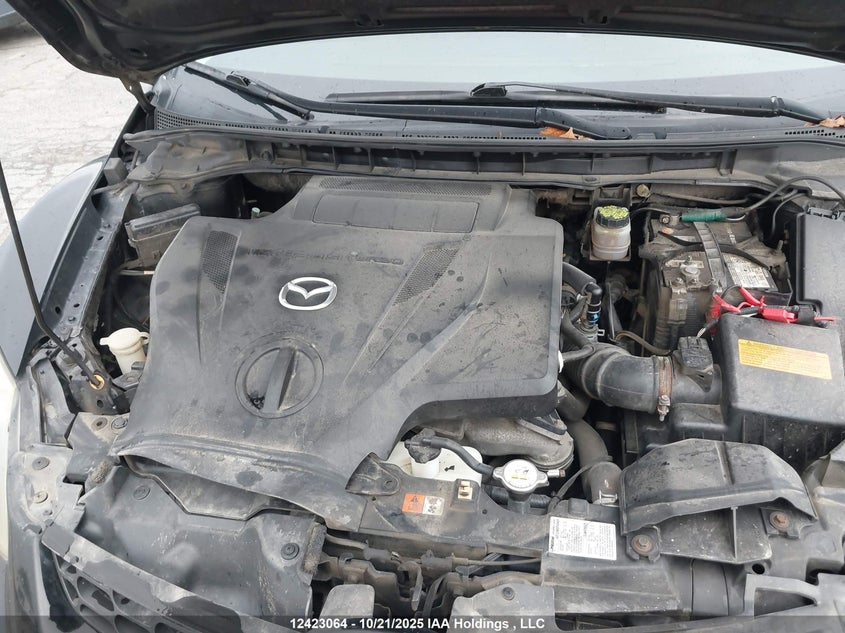 2009 Mazda Cx-7 VIN: JM3ER293990234842 Lot: 12423064