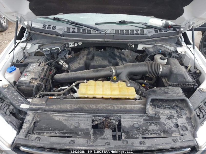 1FTFX1E41KKC72250 2019 FORD F-150 photo no. 10