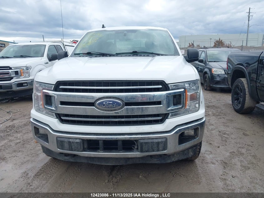 1FTFX1E41KKC72250 2019 FORD F-150 photo no. 12