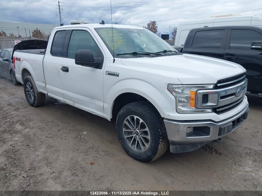 1FTFX1E41KKC72250 2019 FORD F-150 photo no. 12