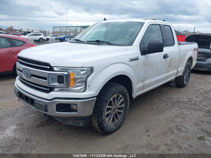 1FTFX1E41KKC72250 2019 FORD F-150 photo no. 2