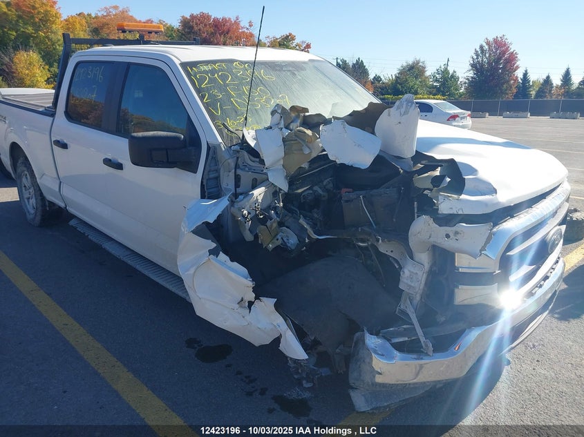 1FTFW1E84PKD53207 2023 FORD F-150 photo no. 6