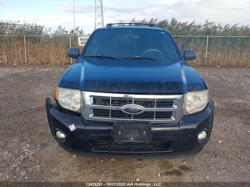 2009 Ford Escape Xlt Automatic VIN: 1FMCU03G79KD12193 Lot: 12423251