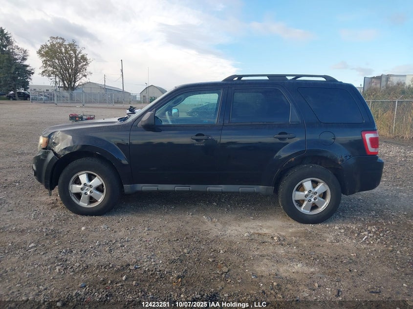 2009 Ford Escape Xlt Automatic VIN: 1FMCU03G79KD12193 Lot: 12423251