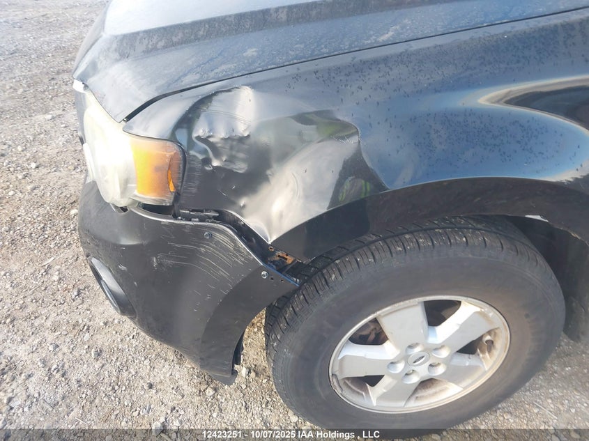 2009 Ford Escape Xlt Automatic VIN: 1FMCU03G79KD12193 Lot: 12423251