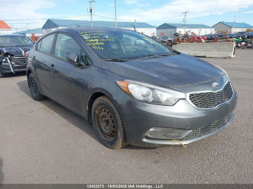 2014 Kia Forte Lx VIN: KNAFX4A69E5080227 Lot: 12423273