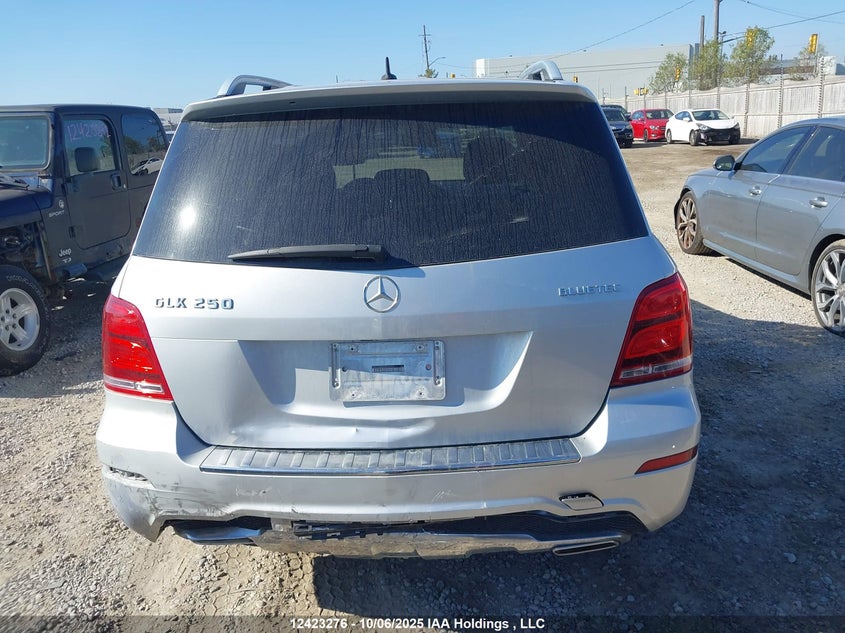 WDCGG0EB1DG099729 2013 MERCEDES-BENZ  photo no. 16