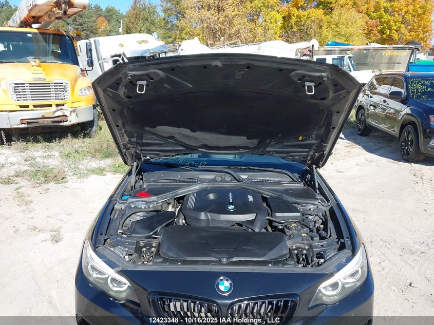 2018 BMW 230Xi VIN: WBA2J3C5XJVD48956 Lot: 12423348