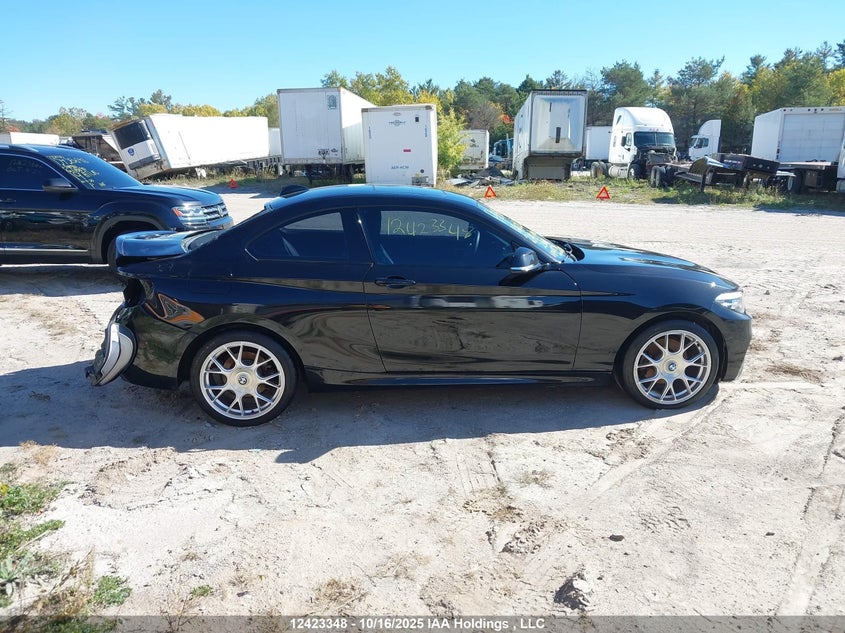 2018 BMW 230Xi VIN: WBA2J3C5XJVD48956 Lot: 12423348