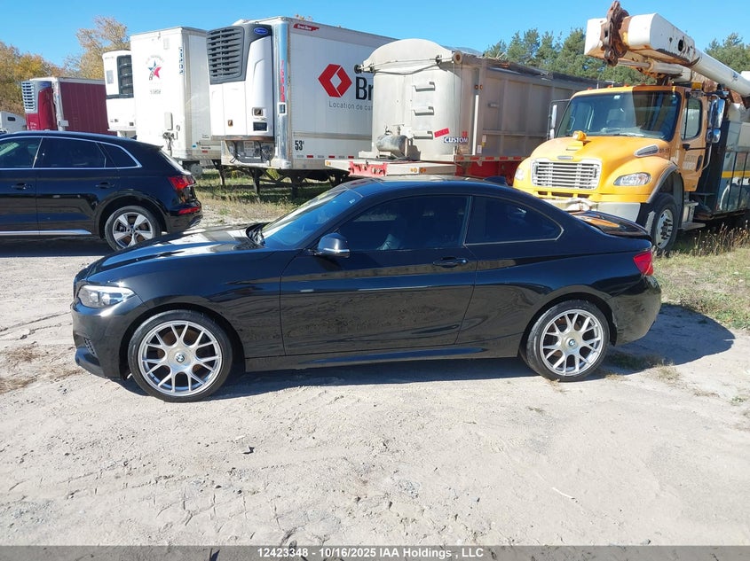 2018 BMW 230Xi VIN: WBA2J3C5XJVD48956 Lot: 12423348