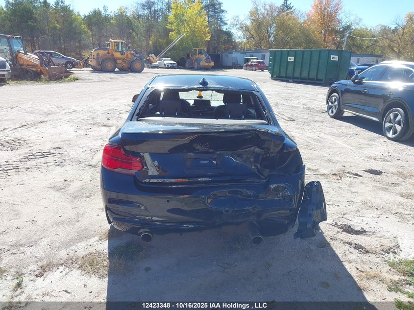 2018 BMW 230Xi VIN: WBA2J3C5XJVD48956 Lot: 12423348