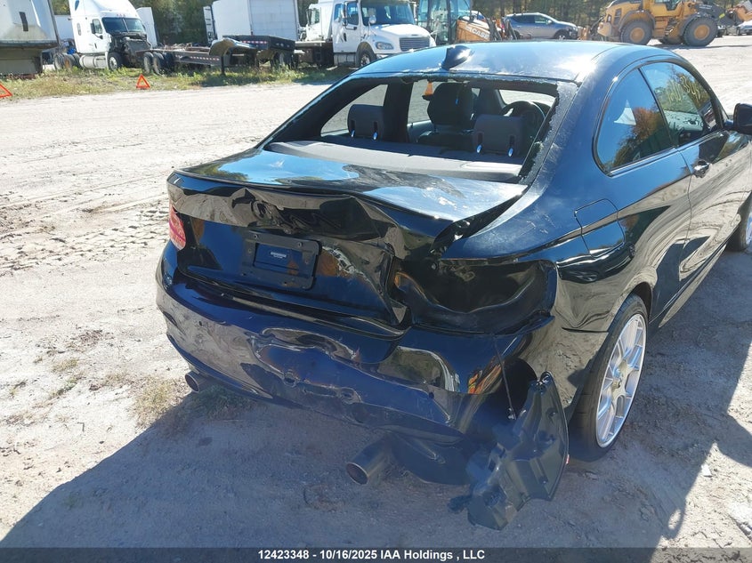 2018 BMW 230Xi VIN: WBA2J3C5XJVD48956 Lot: 12423348