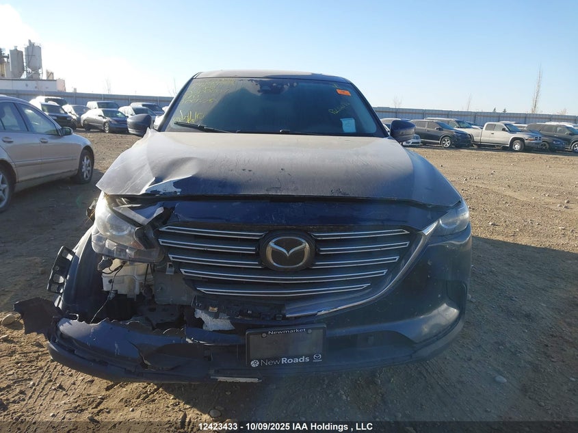 2019 Mazda Cx-9 Touring VIN: JM3TCBCY6K0300007 Lot: 12423433