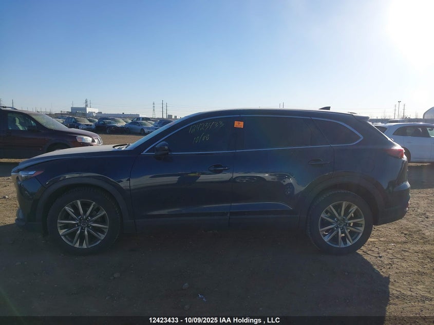 2019 Mazda Cx-9 Touring VIN: JM3TCBCY6K0300007 Lot: 12423433