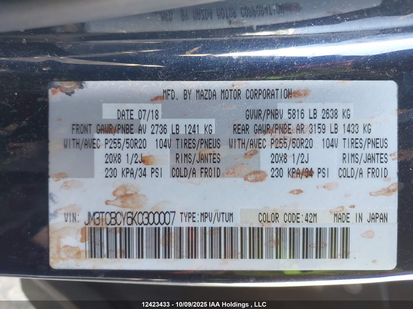 2019 Mazda Cx-9 Touring VIN: JM3TCBCY6K0300007 Lot: 12423433