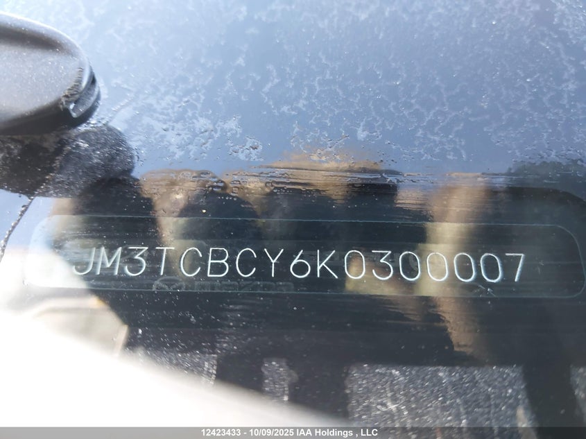 2019 Mazda Cx-9 Touring VIN: JM3TCBCY6K0300007 Lot: 12423433