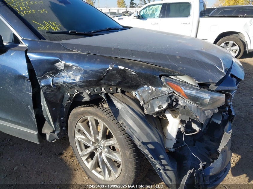 2019 Mazda Cx-9 Touring VIN: JM3TCBCY6K0300007 Lot: 12423433