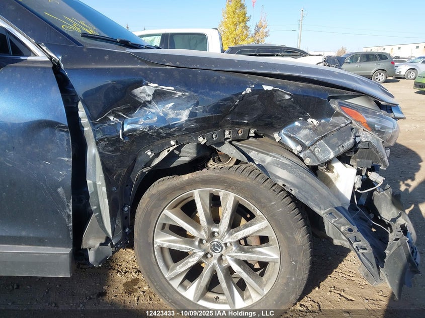 2019 Mazda Cx-9 Touring VIN: JM3TCBCY6K0300007 Lot: 12423433