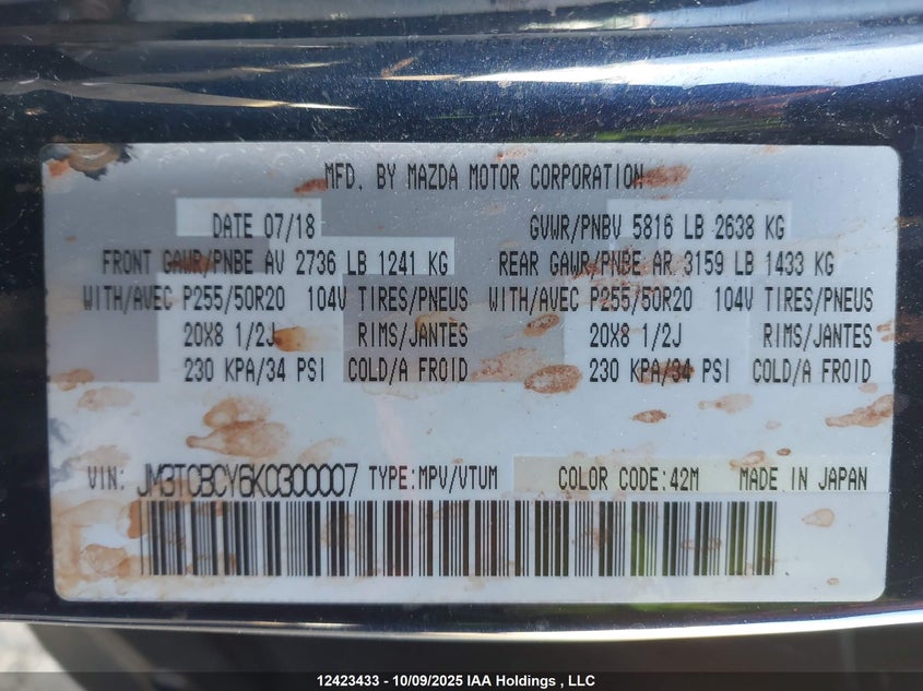 2019 Mazda Cx-9 Touring VIN: JM3TCBCY6K0300007 Lot: 12423433