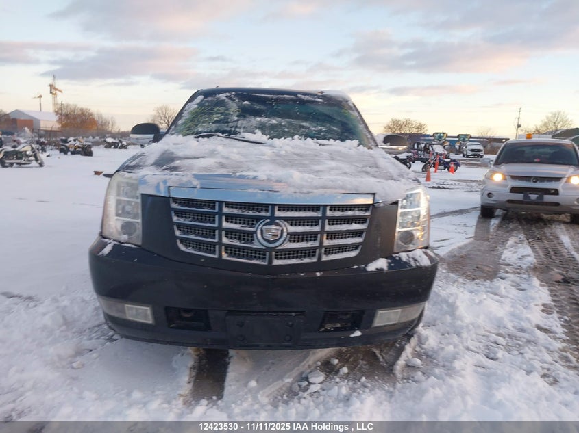 2007 Cadillac Escalade Esv VIN: 1GYFK668X7R253959 Lot: 12423530