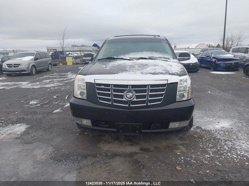 2007 Cadillac Escalade Esv VIN: 1GYFK668X7R253959 Lot: 12423530
