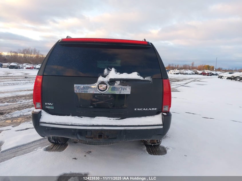2007 Cadillac Escalade Esv VIN: 1GYFK668X7R253959 Lot: 12423530