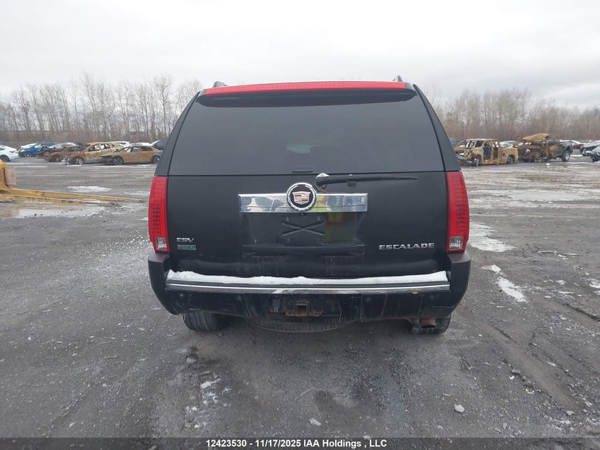 2007 Cadillac Escalade Esv VIN: 1GYFK668X7R253959 Lot: 12423530