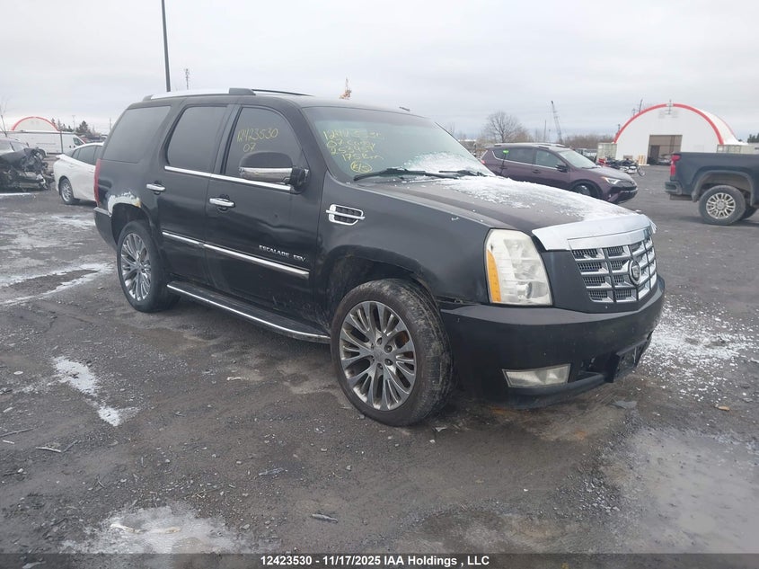 1GYFK668X7R253959 2007 CADILLAC ESCALADE photo no. 5