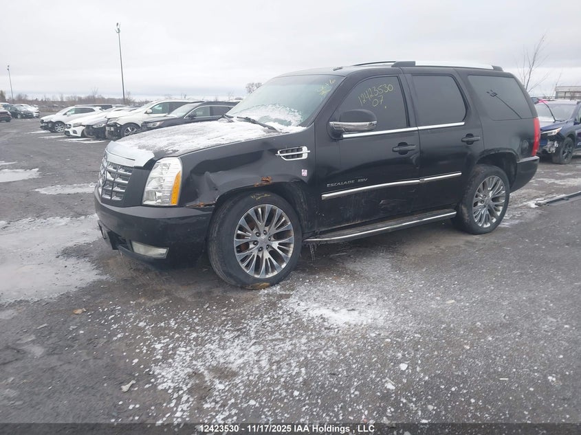 1GYFK668X7R253959 2007 CADILLAC ESCALADE photo no. 2