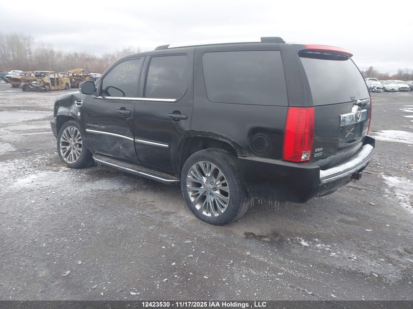 1GYFK668X7R253959 2007 CADILLAC ESCALADE photo no. 3
