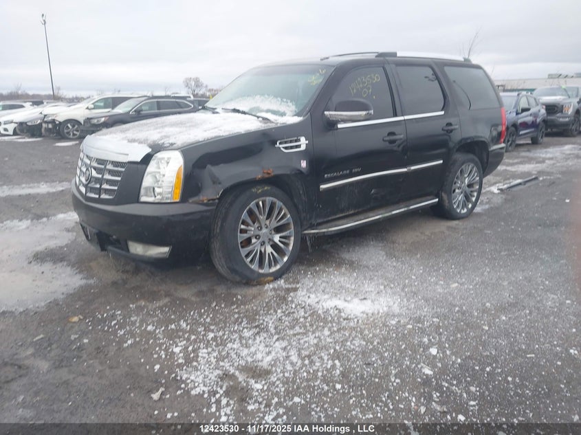 2007 Cadillac Escalade Esv VIN: 1GYFK668X7R253959 Lot: 12423530