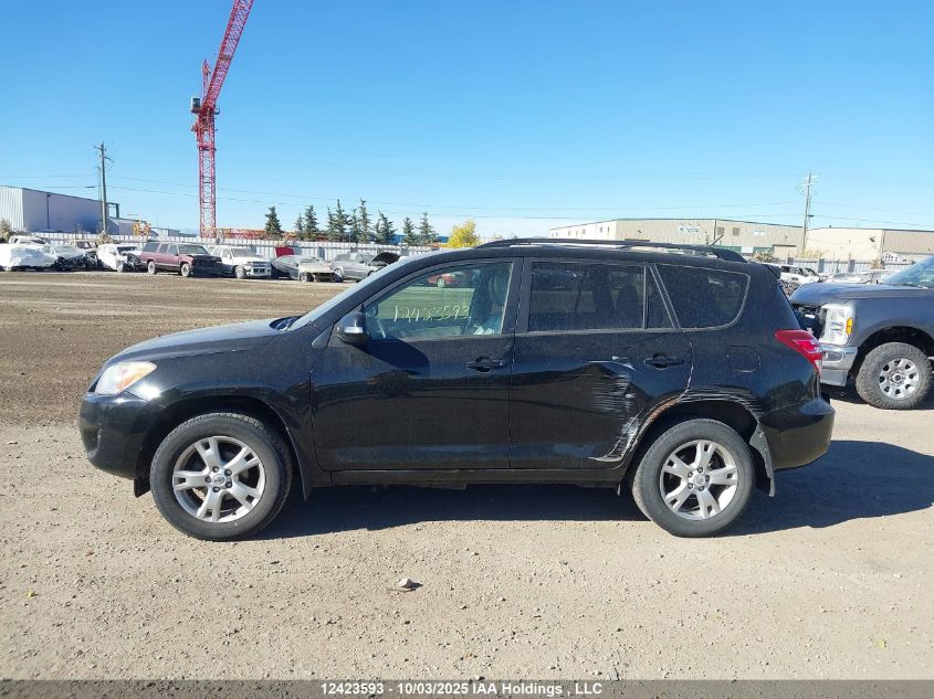 2011 Toyota Rav4 VIN: 2T3BF4DV7BW158855 Lot: 12423593