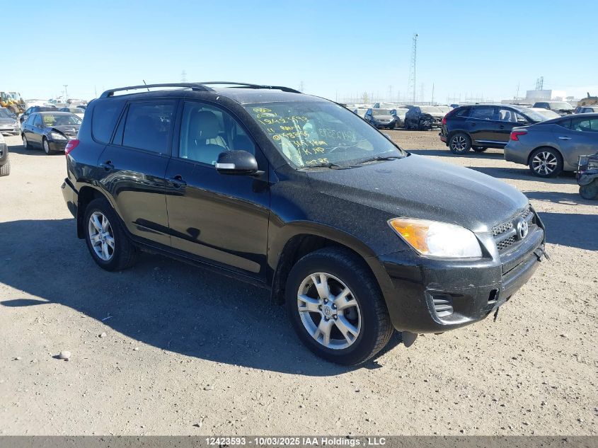 2011 Toyota Rav4 VIN: 2T3BF4DV7BW158855 Lot: 12423593