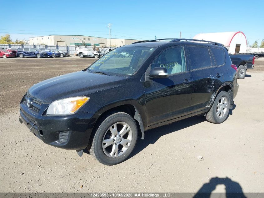 2011 Toyota Rav4 VIN: 2T3BF4DV7BW158855 Lot: 12423593