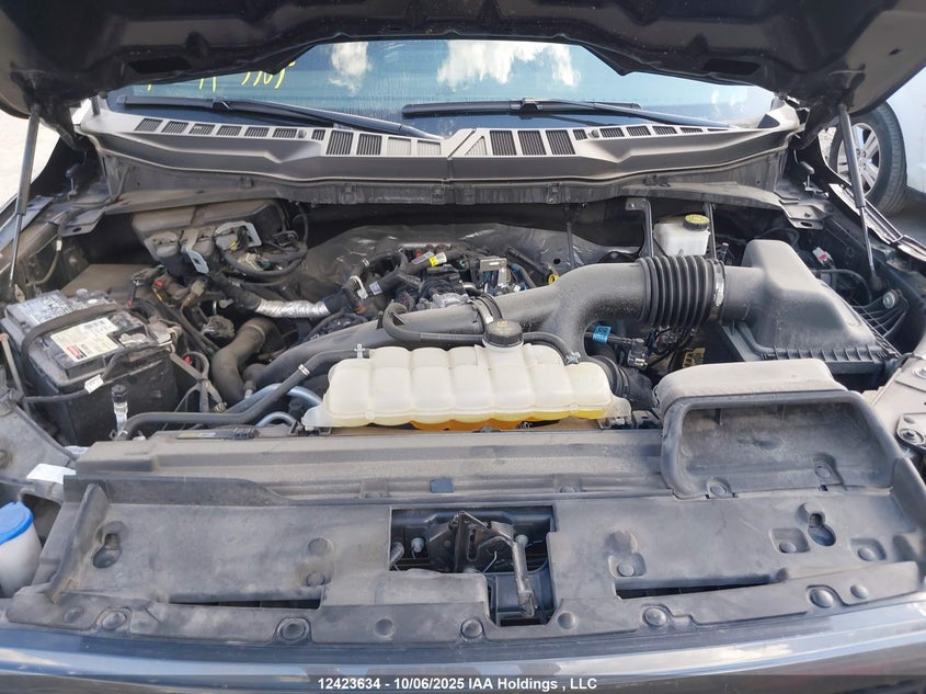 1FTEW2LP0RKD32871 2024 FORD F-150 photo no. 10