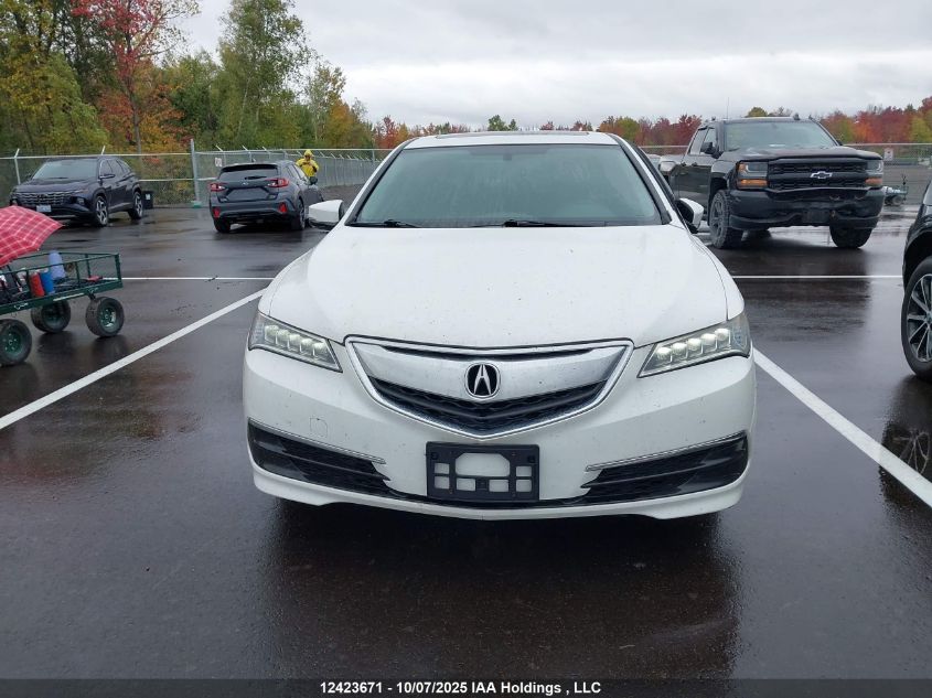 2015 Acura Tlx VIN: 19UUB1F39FA800769 Lot: 12423671