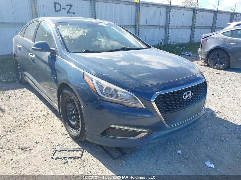 2016 Hyundai Sonata Hybrid/Limited VIN: KMHE34L14GA007798 Lot: 12423721