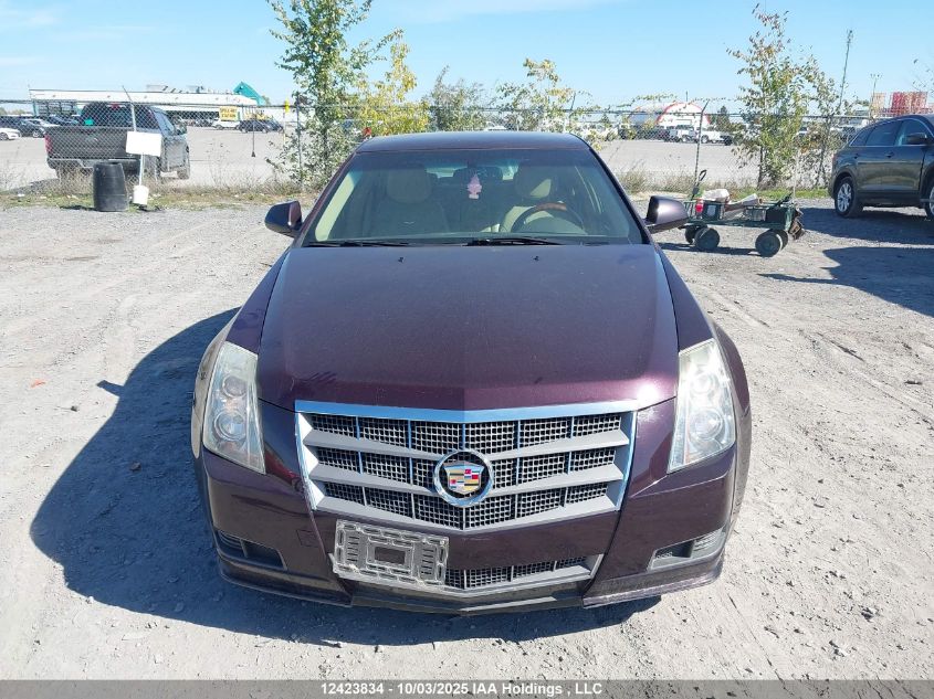 2010 Cadillac Cts VIN: 1G6DC5EG1A0146102 Lot: 12423834