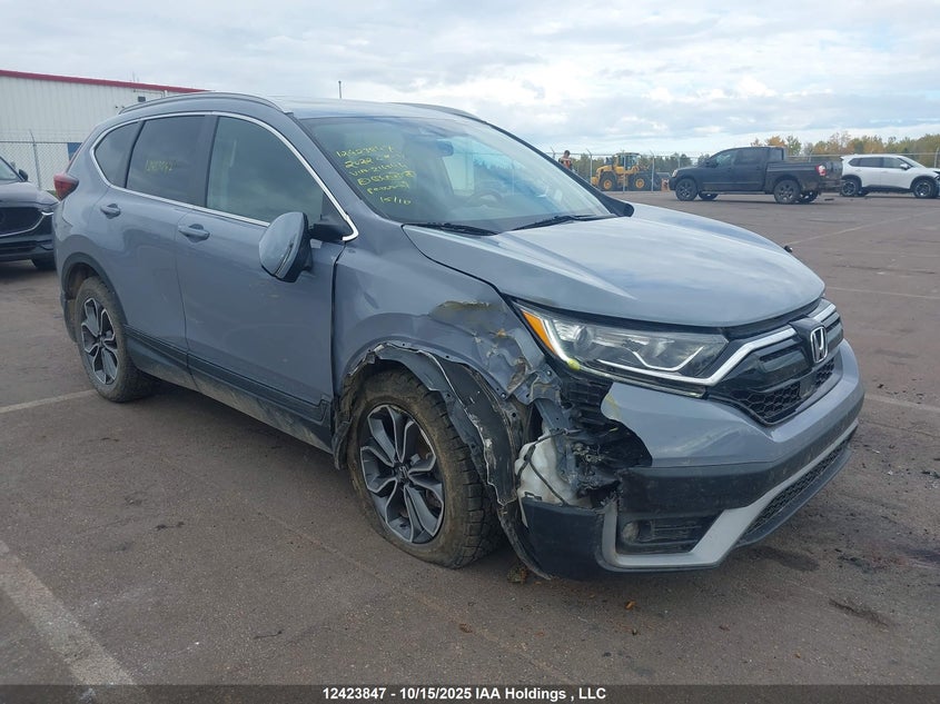 2022 Honda Cr-V Exl VIN: 2HKRW2H84NH216844 Lot: 12423847